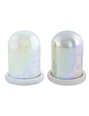 DECORACION LUMINOSA LED 11X14 BRILLANTE 2 SURT.