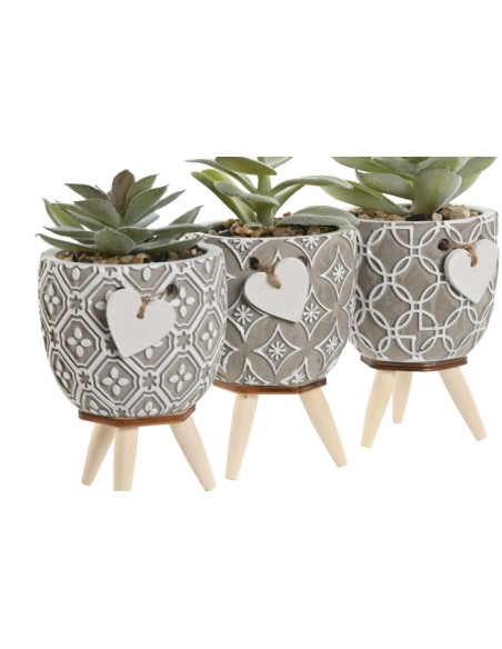 PLANTA CEMENTO PE 9,5X9,5X12 3 SURT.