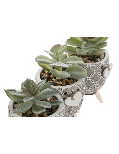 PLANTA CEMENTO PE 9,5X9,5X12 3 SURT.