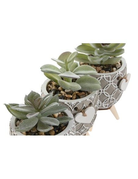 PLANTA CEMENTO PE 9,5X9,5X12 3 SURT.