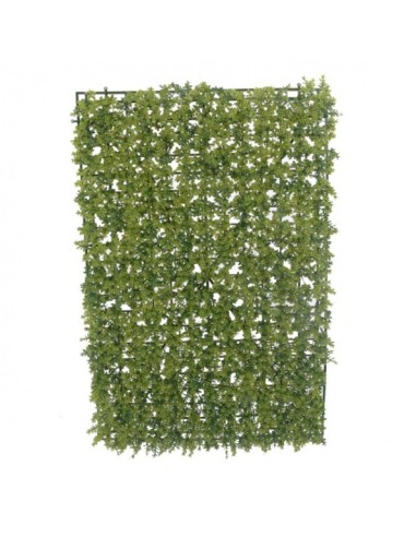 RECTANGULO DE BOJ (40X60CMS) V(6490-09)