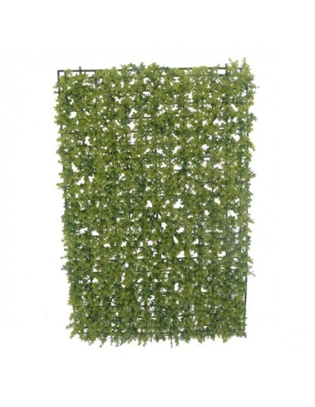 RECTANGULO DE BOJ (40X60CMS) V(6490-09)