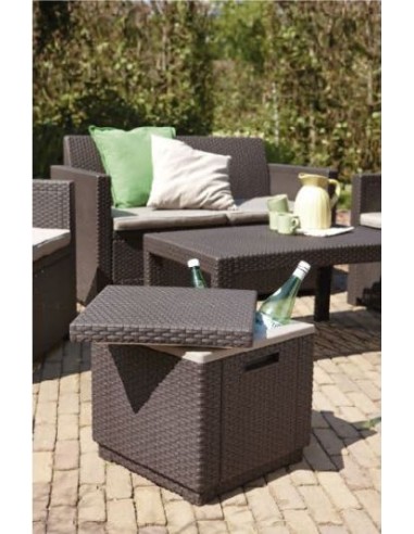 ICE CUBE MARRON ( MESA NEVERA)