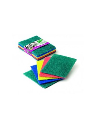 CINCO FIBRAS CON CARTONCILLO3