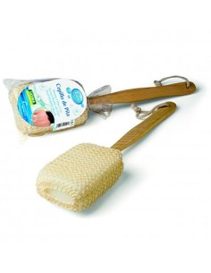ESPONJA CEPILLO DE PITA