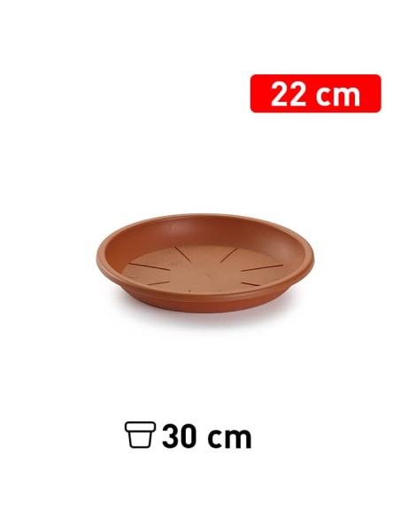 PLATO MACETA 22 CM