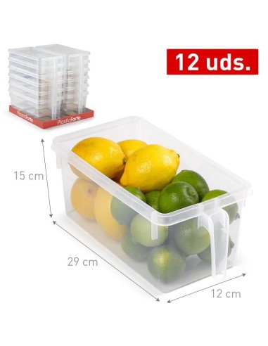 ORGANIZADOR 15X29X12CM HANDY FRIGO