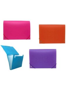 CARPETA CLASIFICADORA 12B NEON SURTIDA