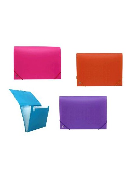 CARPETA CLASIFICADORA 12B NEON SURTIDA