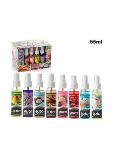 AUTO SPRAY ESPECIAL COCHE 55ML
