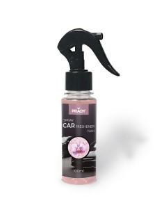 SPRAY COCHE YANI 100ML