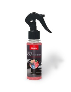 SPRAY COCHE FRUTOS ROJOS 100ML