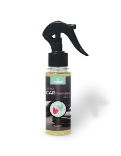 SPRAY COCHE BEBE 100ML