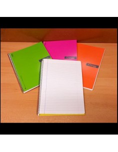 CLIPPER Fº 80H PAUTA TAPA CARTON