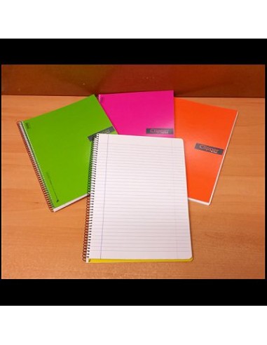 CLIPPER Fº 80H PAUTA TAPA CARTON