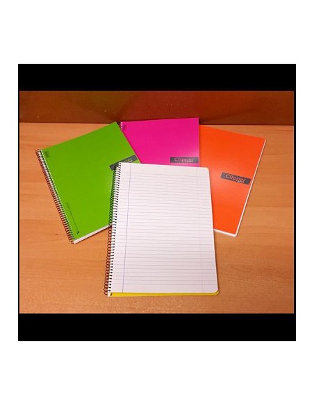 CLIPPER Fº 80H PAUTA TAPA CARTON