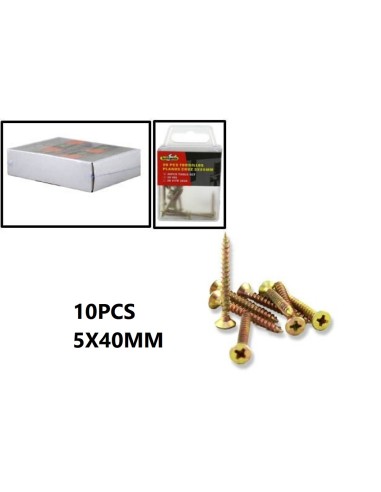 TORNILLO 5X40MM 10UND PLANOS CRUZ