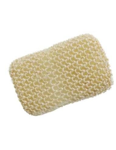 ESPONJA DE PITA CON CAJA