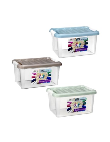 CAJA 17L 41.5X28.5X20.5CM TAPA COLOR