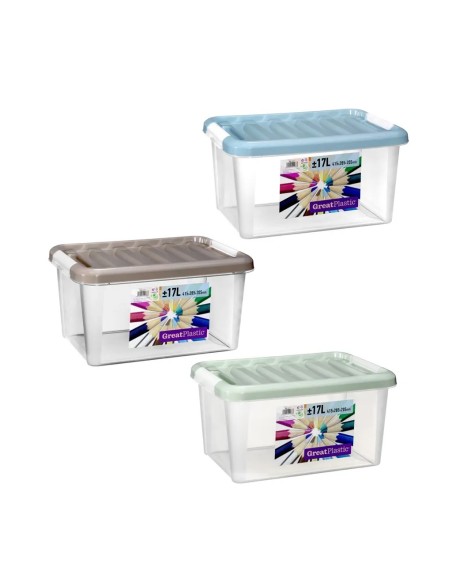 CAJA 17L 41.5X28.5X20.5CM TAPA COLOR