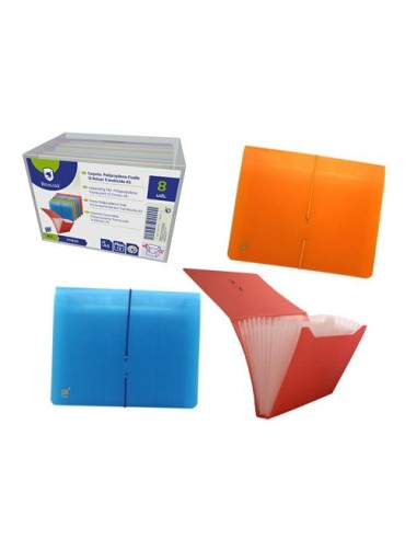 CARPETA CLASIFICADORA 13B TRNS A5