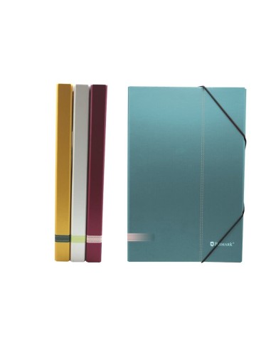 CARPETA PROYECTOS CARTON 30mm PASTEL COL. SURTID.