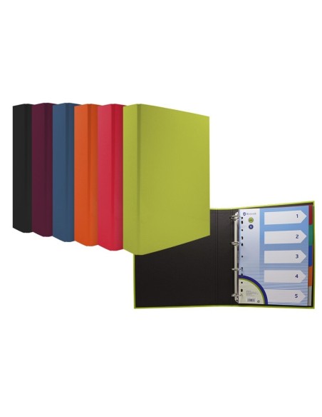 CARPETA 4 ANILLAS  6 COLRES C/SEPARADOR